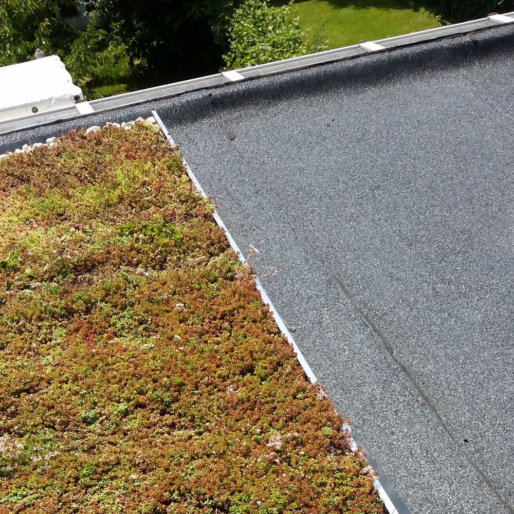 isolatie met een groendak dat is een warm dak of een omgekeerd dak