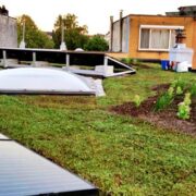 zonnepanelen en groendaken de studie over energie opwekking